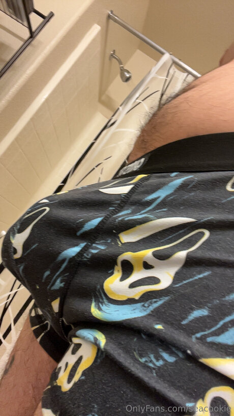 Seacookie pornstar high quality photo