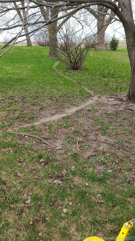 Loneranger2017 star xxx galleries