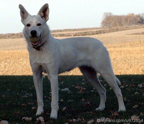 Loneranger2017 model adult photos