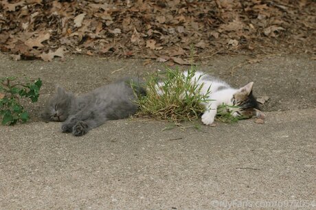 Loneranger2017 model hot gallery