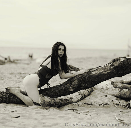 Diamond Free pornographic star picture