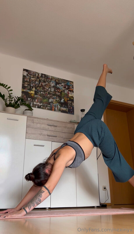 Nexinyx sexy pornstar gallery