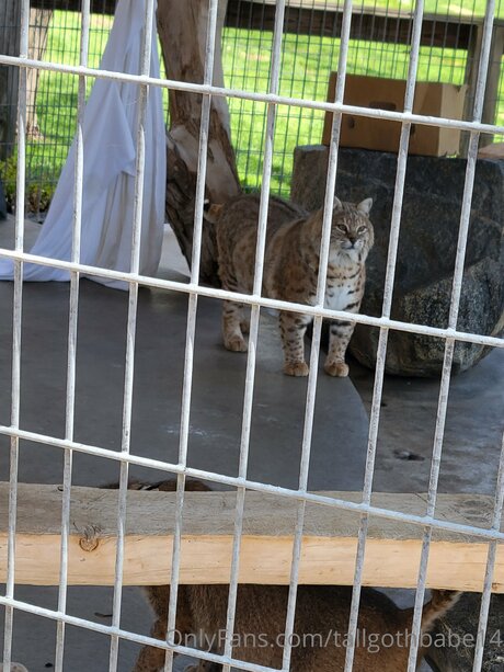 male asian onlyfans free sex pic