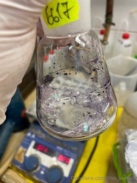 Lina Sunset pornstar adult pics