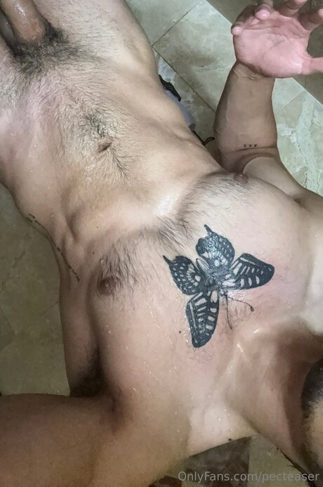 Pecteaser pornstar free galleries