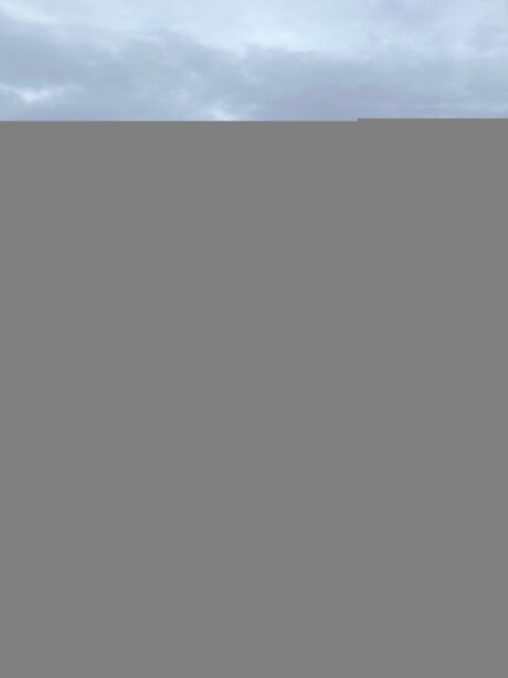 Victorialotusfree exclusive actress img