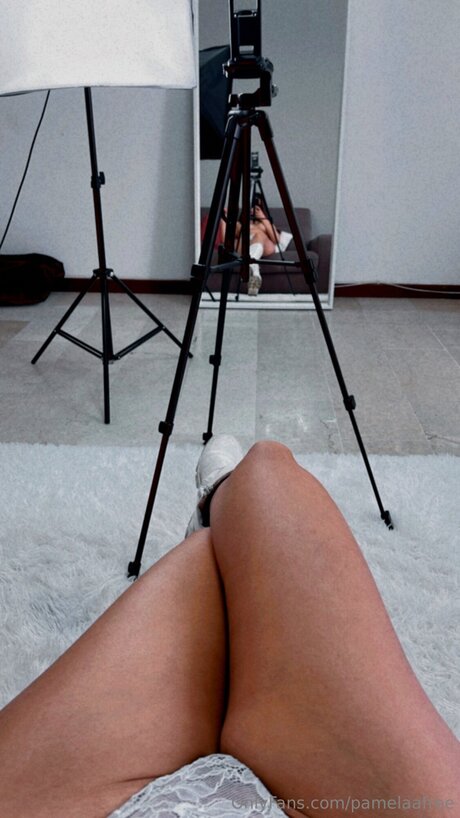 Pamelaafree star naked galleries