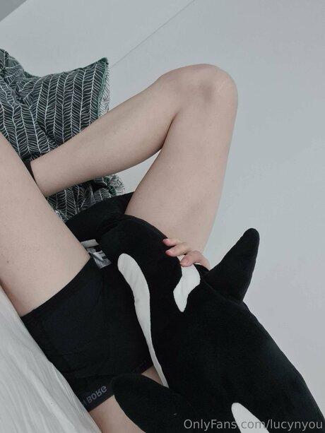 Lucynyou hd model photos