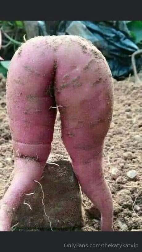 bbw lingerie onlyfans hot nude pics