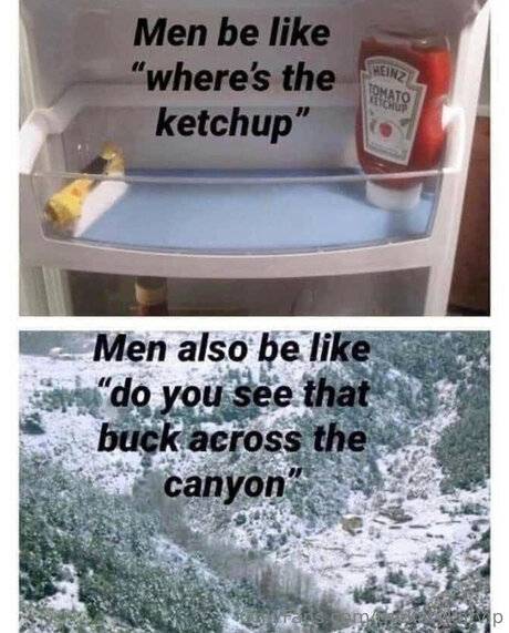 Thekatykatvip sex actress gallery