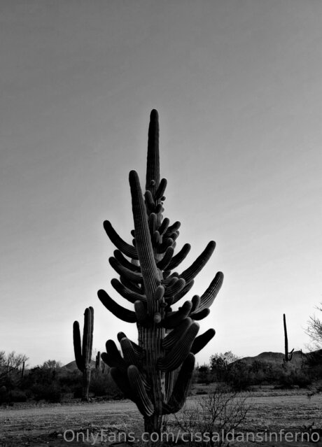 Cissaldansinferno model nudes pics