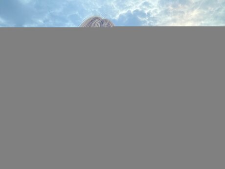 Ashley Milk pretty pornstar galleries