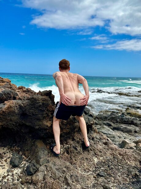 Athletonx star best gallery