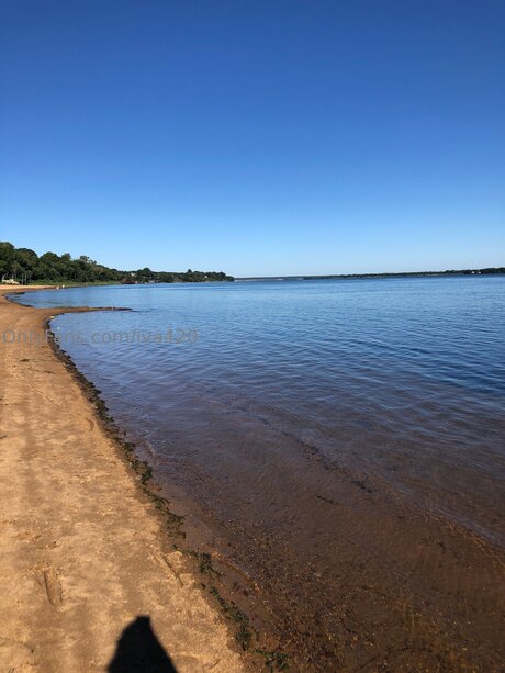 Iva420 best actress picture