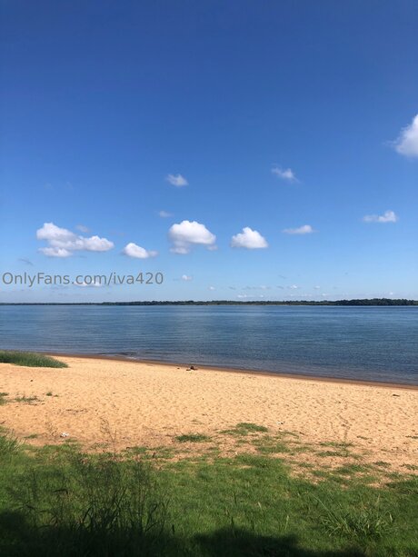 Iva420 star art galleries