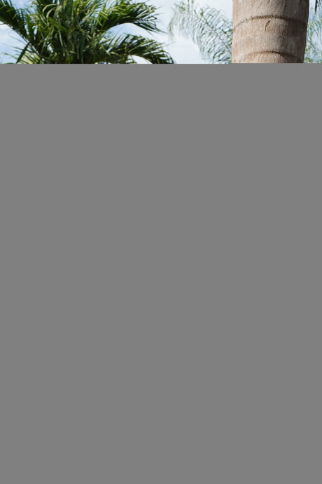 Hail Fitgirl top star pictures