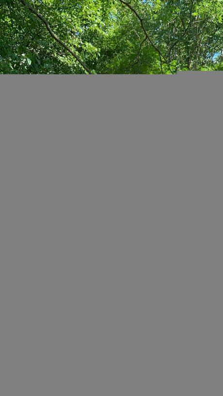 Bootybabyvixen model pornographic pic