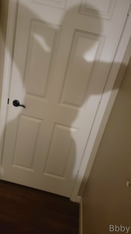 Bootybabyvixen pornstar naked images