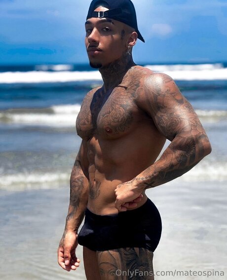 Mateospina star pretty picture