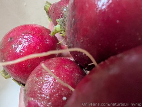 Natures Lil Nymp pornstar beautiful picture