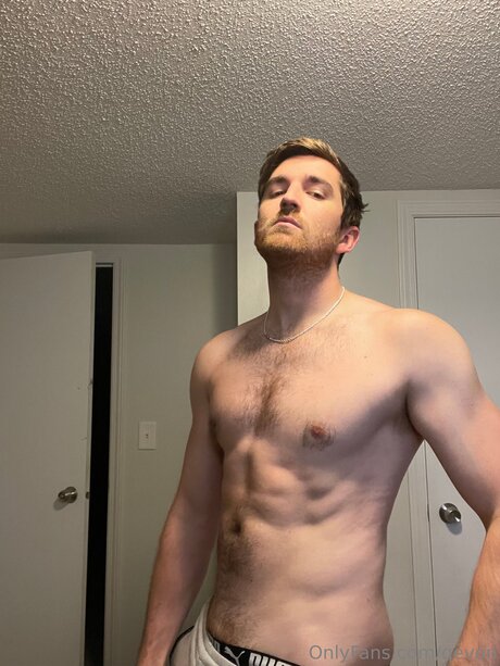 Qevon art star archive