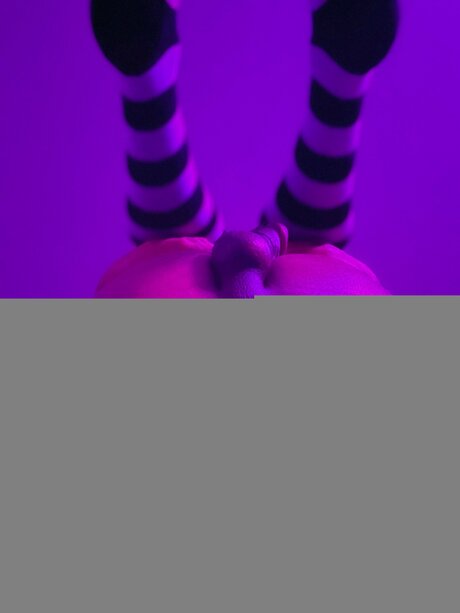 Nickypanda star art galleries