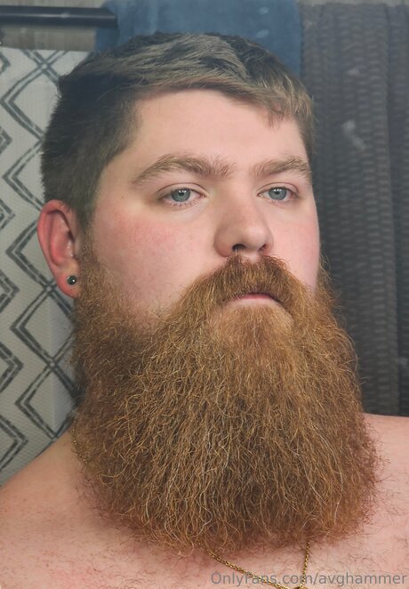 Avghammer adult star img