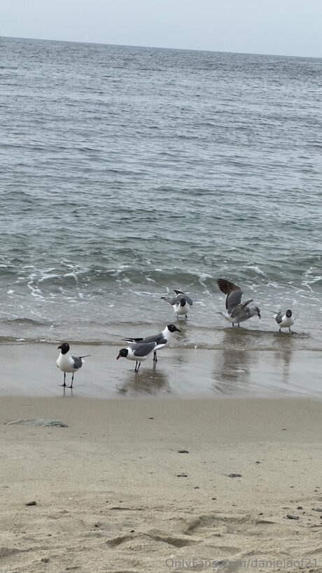 Danielaof21 sex pornstar photos