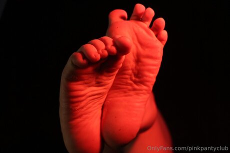 Pinkpantyclub top pornstar images