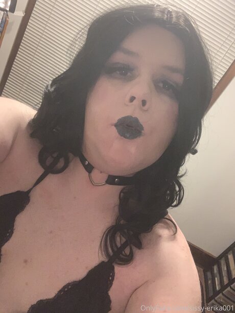 Sissy Erika001 pornstar art picture