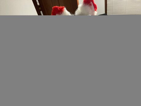 Sissy Erika001 pornographic star pic