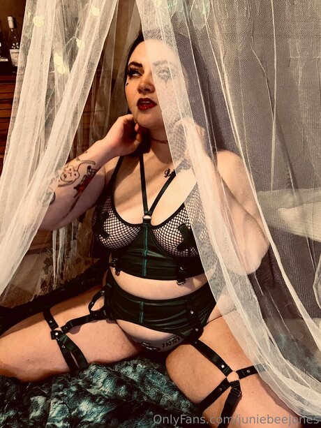 Juniebeejones star free archive