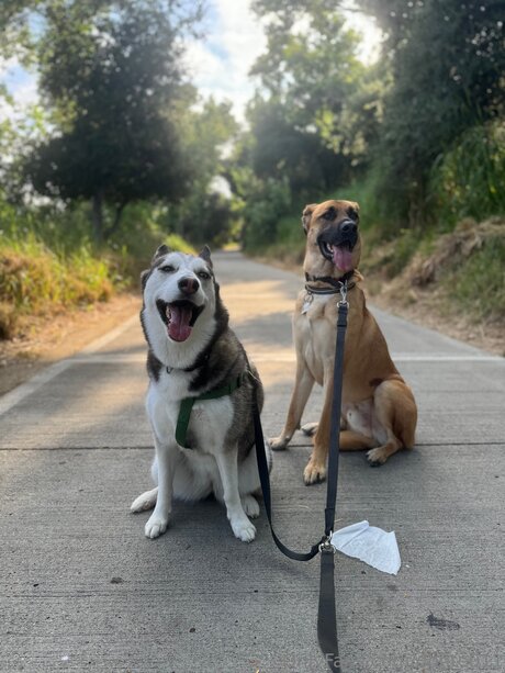 Donte011 perfect pornstar archive