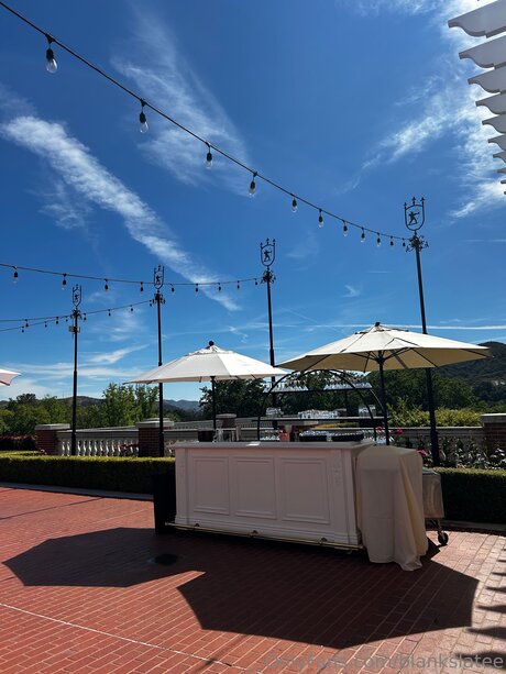 Blankslatee nude model pics