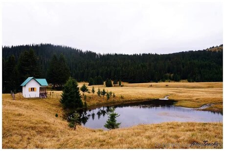 Mickey93 model art photos