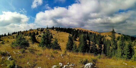 Mickey93 porn star picture