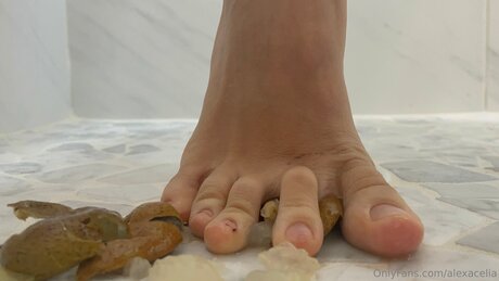 Alexacelia star hd pics