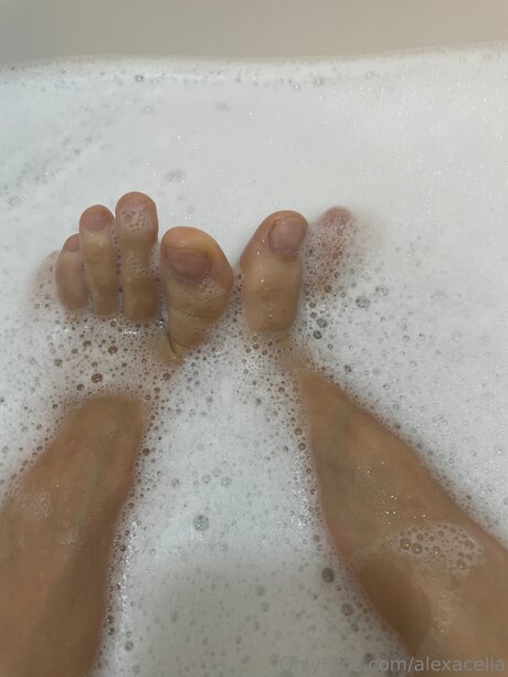 Alexacelia top actress image