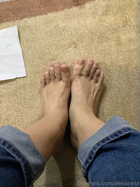 Alexacelia pornstar top photo