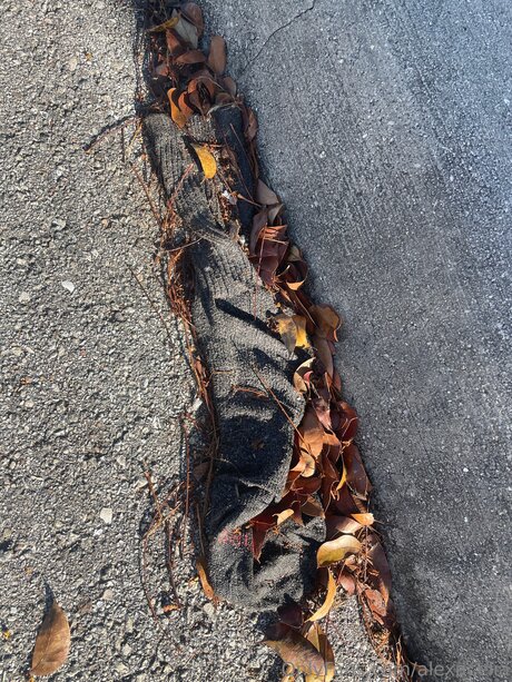 Alexacelia pornstar nice pics