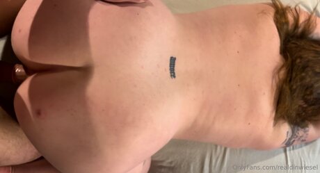 Realdinwiesel pornstar erotic pictures