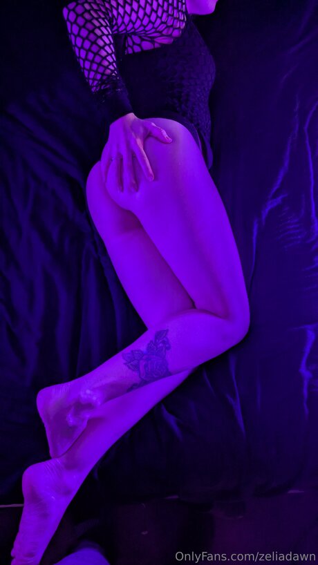 Zeliadawn beautiful star gallery