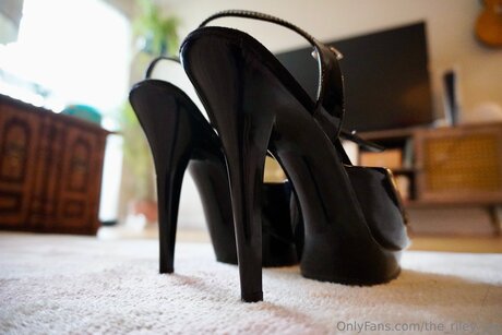 The Riley Jay hd pornstar galleries