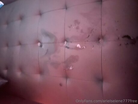 Exoticadolll exclusive star photo