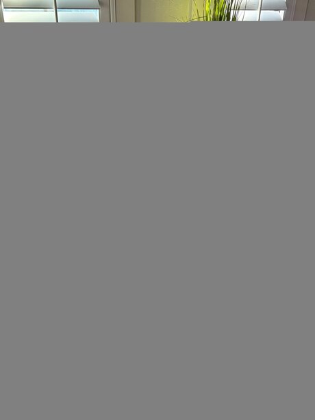 Suburbanbrunettehubs model adult picture