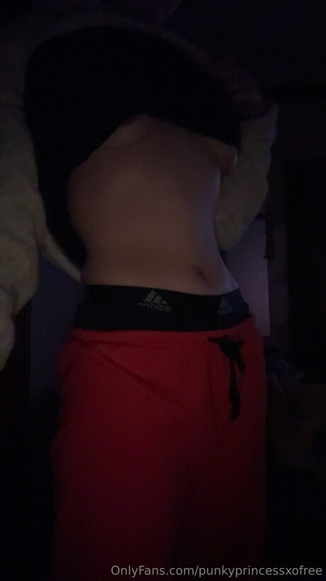 Punkyprincessxofree star porn pics