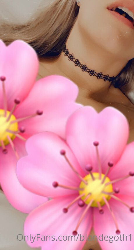 Blondegoth1 pornographic actress pictures