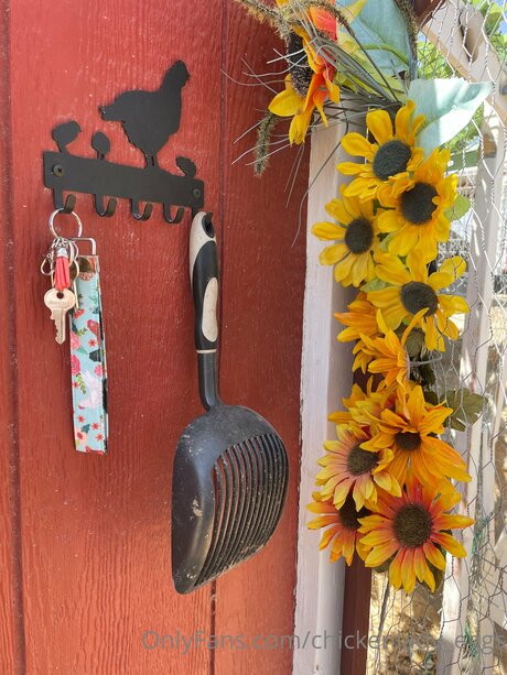 Chickenlady Eggs hd actress archive