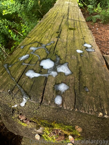 Urlocalplantgay hd actress img