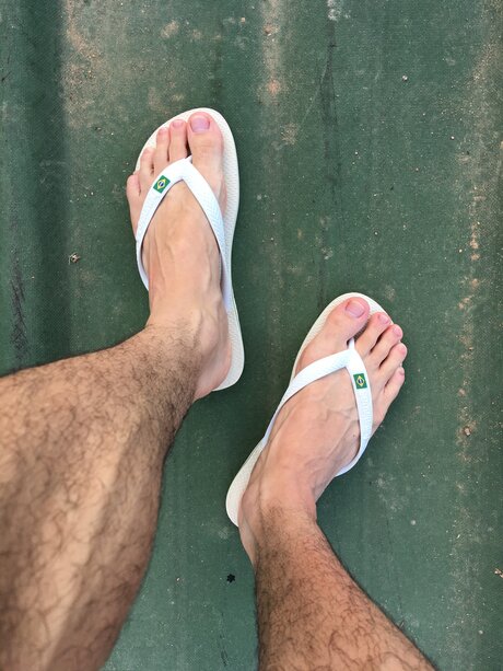 Calsiffer pornstar top galleries